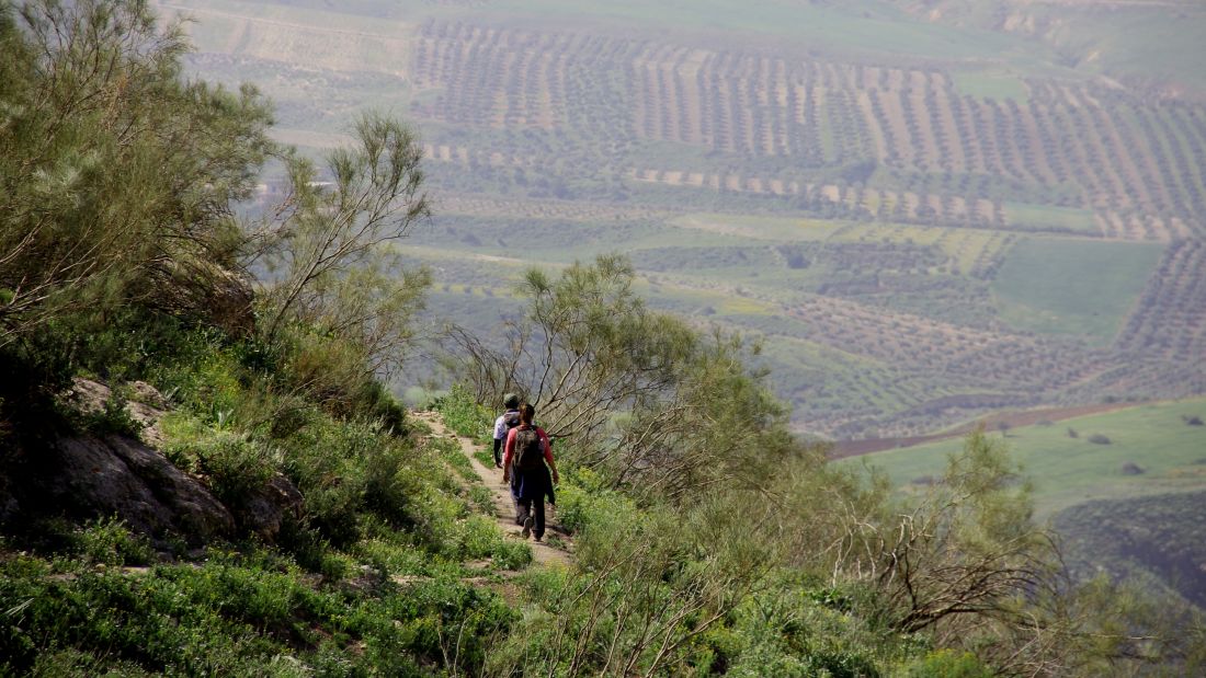 Jordan Trail Trekking Highlights