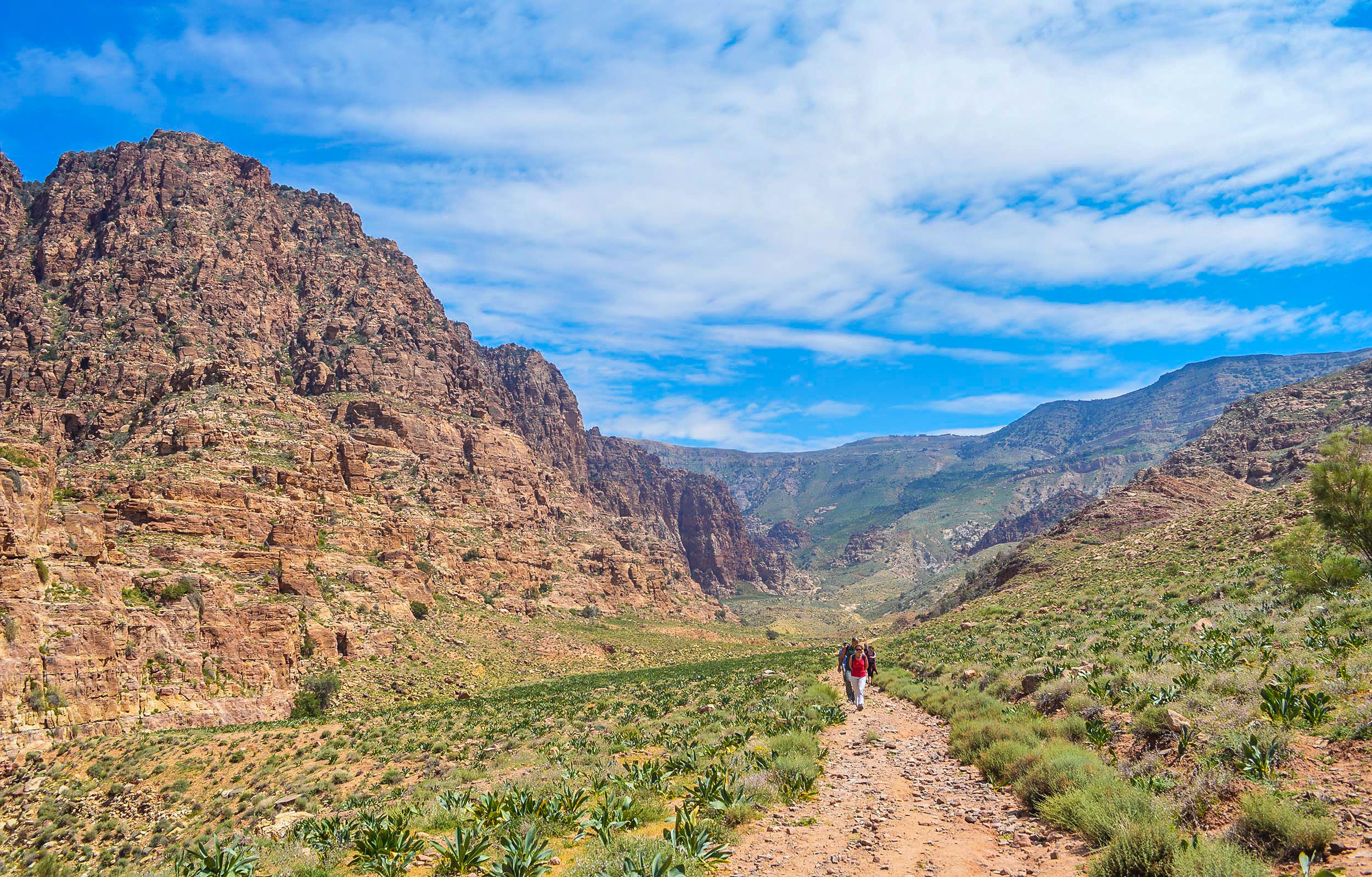 Dana-to-fynan-trail